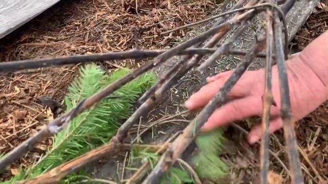 Виноград на Урале/ снятие укрытия смотреть онлайн