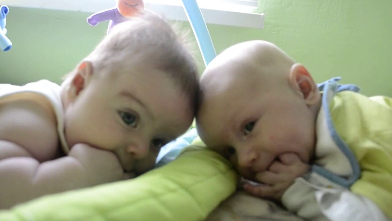 Егор и Семен на полянке смотреть онлайн