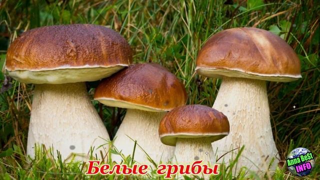 Как в 50 лет выглядеть на 20? смотреть онлайн