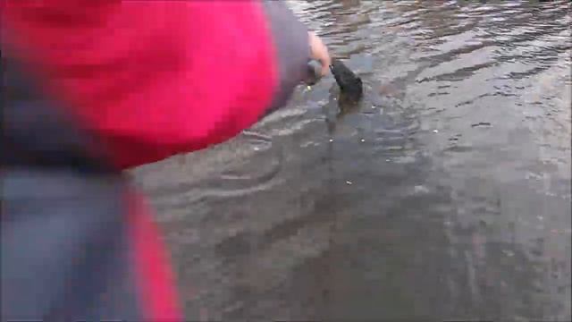 Утренний обзор с Верхнего. Клёвое место Лосиный остров. смотреть онлайн