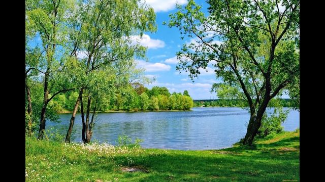 Музыка для Концентрации, Фокусировки, Обучения смотреть онлайн