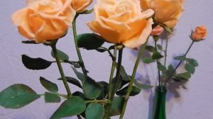 Советы по лепке розы из холодного фарфора