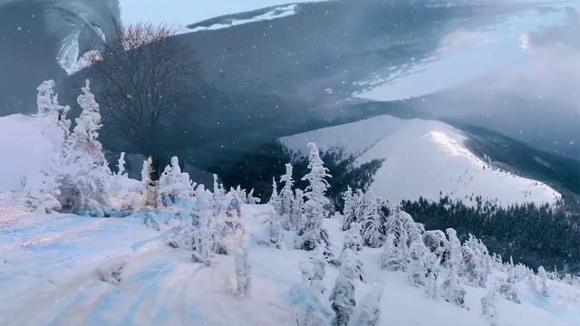 Философия добра смотреть онлайн