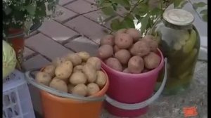 Первое заседание Торгового Совета состоялось в Братске