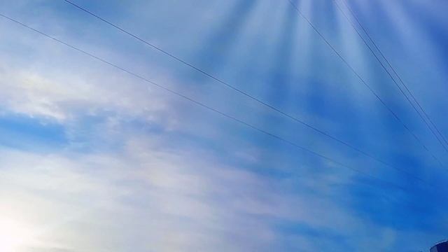 Самые большие рыбаловные штрафы за ловлю рыбы в России 2023