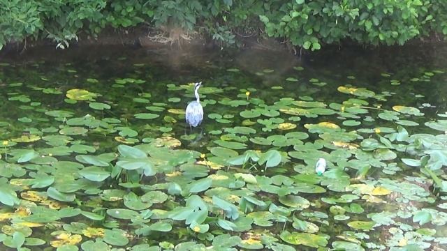 На реке Хафель - Цитадель Шпандау смотреть онлайн