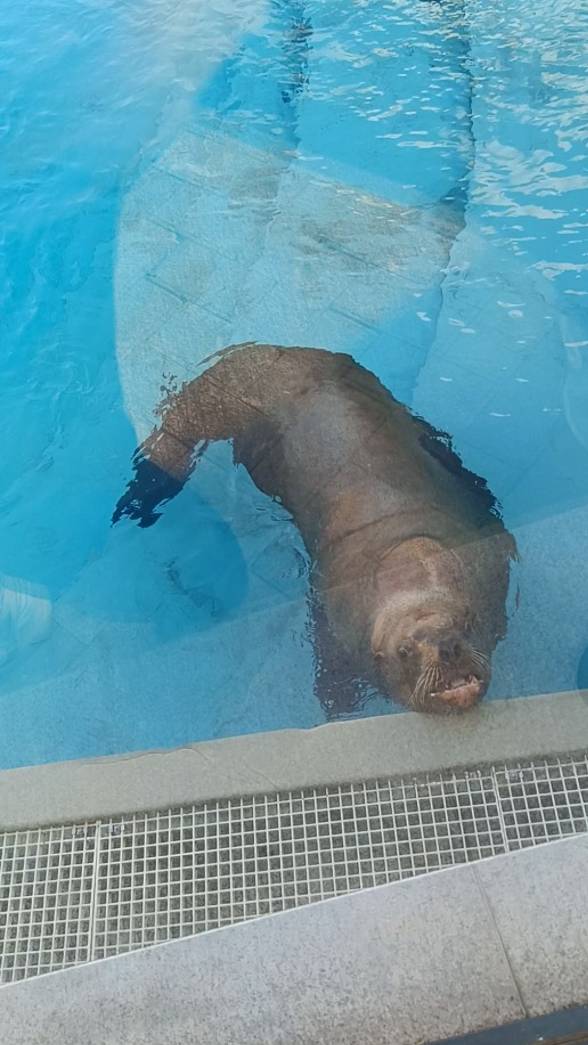 Московский зоопарк смотреть онлайн