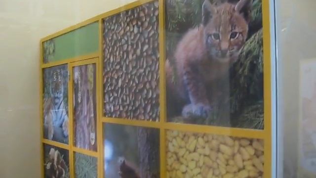 Магазин Кедровая продукция. Санкт-Петербург. смотреть онлайн
