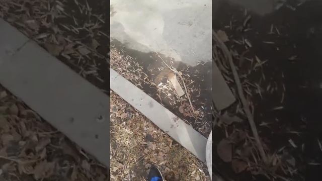 4vzfetoyotawindomдвигатель троит не тянет не набирает обороты пахнет бензой причина решена