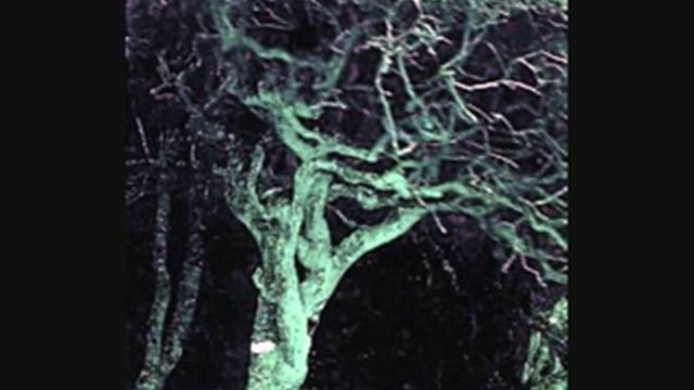 Lothlórien - The Black Cat смотреть онлайн