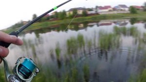 Как ловить на отводной поводок