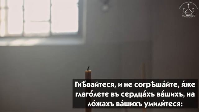 Псалом 4. Когда одолевают болезни а финансовые проблемы кажутся неразрешимыми. смотреть онлайн
