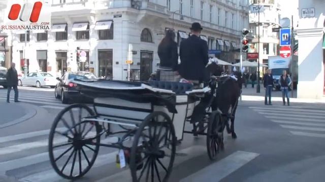 Австрия. Гостиница в Вене Sacher. Hotel Sacher Wien. Торт смотреть онлайн