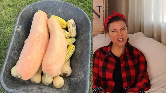 Best Vegetable Varieties to Grow- 2022 Favorites, PART 2 смотреть онлайн