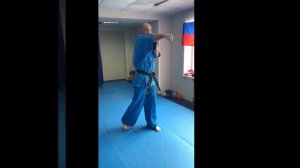 Базовая техника КУДО  одиночные удары руками