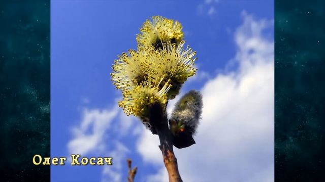 ВИДЕО ВЕСНА в Ивантеевке 2 смотреть онлайн