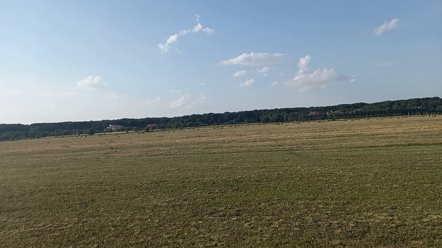 rc glider Lepreshaun v3 смотреть онлайн