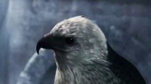 песня ассасин крид