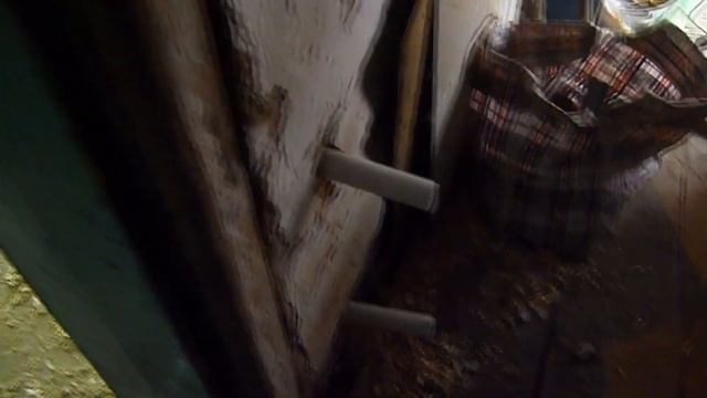 ДРЕВО Отопление полипропиленом.Петля Тихельмана или попутная обратка. смотреть онлайн