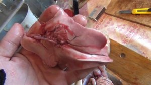 Разделка налима Смотрим чем питается налим Камни в налиме Макса печень налима