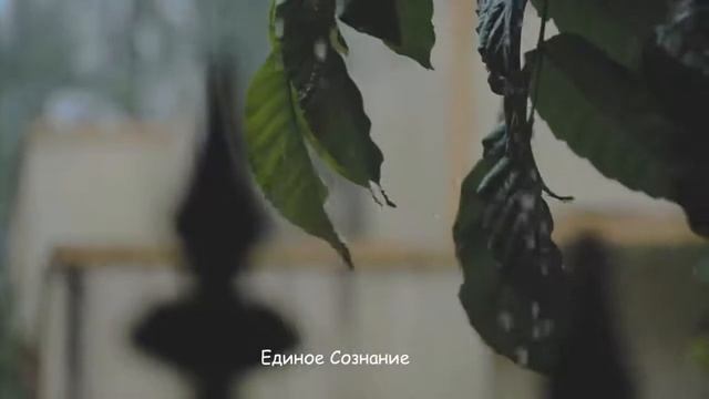 Ошо. Ты должен стать Колумбом сознания
