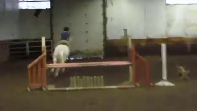 Riding Oscar смотреть онлайн