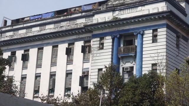 Влог #08: Первая поездка в Индию, Калькутта, индийская свадьба смотреть онлайн