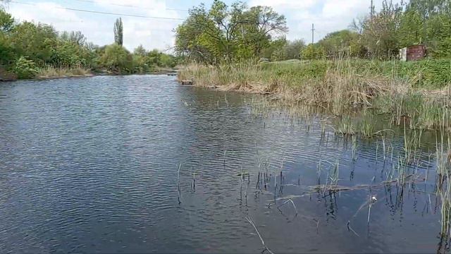 Дружковка 6 мая 2023.Ночью громко.Сажаю помидоры. смотреть онлайн
