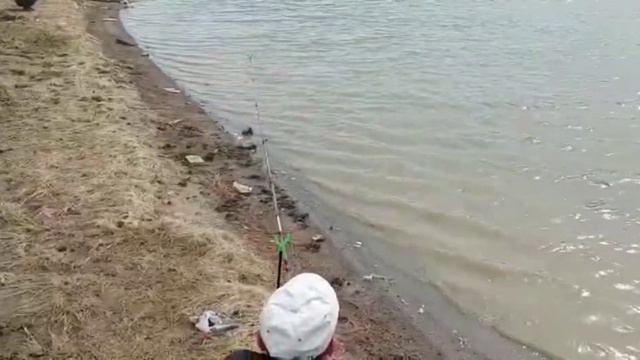 Балик ови зор булди, Казакистон атров урал👍👍👍 смотреть онлайн