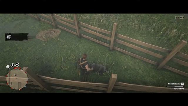 Red Dead R. 2 - Naturalist - legendären Tiere und was so anfällt смотреть онлайн