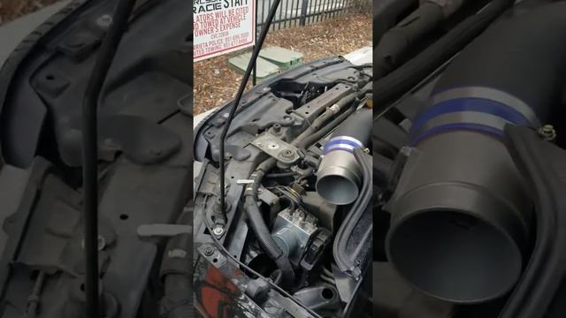 2014 mustang HID bulb replacement. EASY! смотреть онлайн