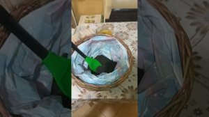 Рецепт настойки пжвм , пжвлм .