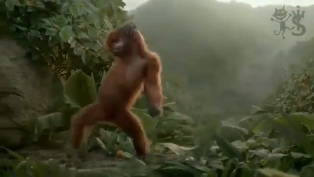 Танцы, понедельник день тяжелый смотреть онлайн