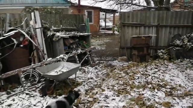 Зимний день, мокрые утки/ Краснодарский край/дом на Кубани/погода на юге смотреть онлайн