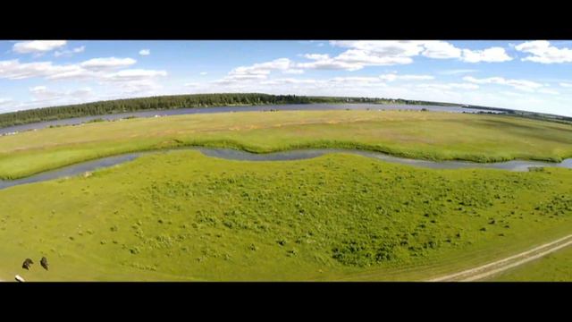 Лошади смотреть онлайн