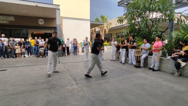 EXHIBICIÓN CAPOEIRA CORDÃO DE OURO MANGALOT CUERNA EN FÓRUM CUERNAVACA. JULIO 2022 смотреть онлайн