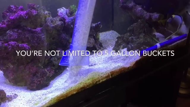 saltwater aquarium sand bed: sand bed vacuum technique using canister filter смотреть онлайн