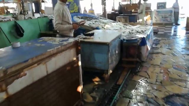 Прогулка по Хургаде, Шератон, рыбный рынок