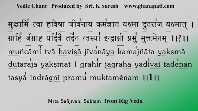 Mrta Sanjeevani Suktam | POWERFUL Rig Veda Chant for Paralysis & Last stage illness | Sri K Suresh смотреть онлайн