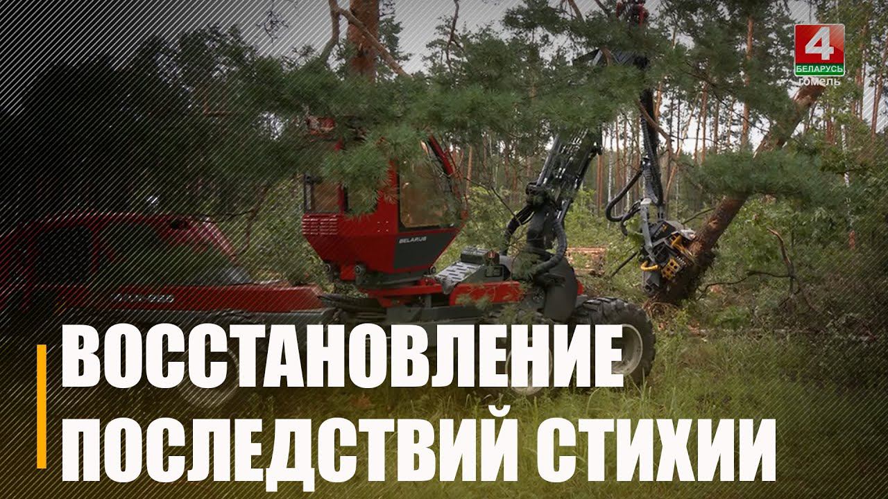 На Гомельщине продолжается ликвидация последствий урагана смотреть онлайн