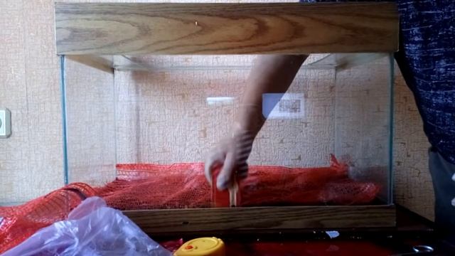 Запуск аквариума 50 литров на земле для кактусов . Грунт аргиллит. смотреть онлайн