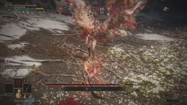 Elden Ring - Solo RL1 Malenia w/ Bloodhounds Fang Hitless смотреть онлайн