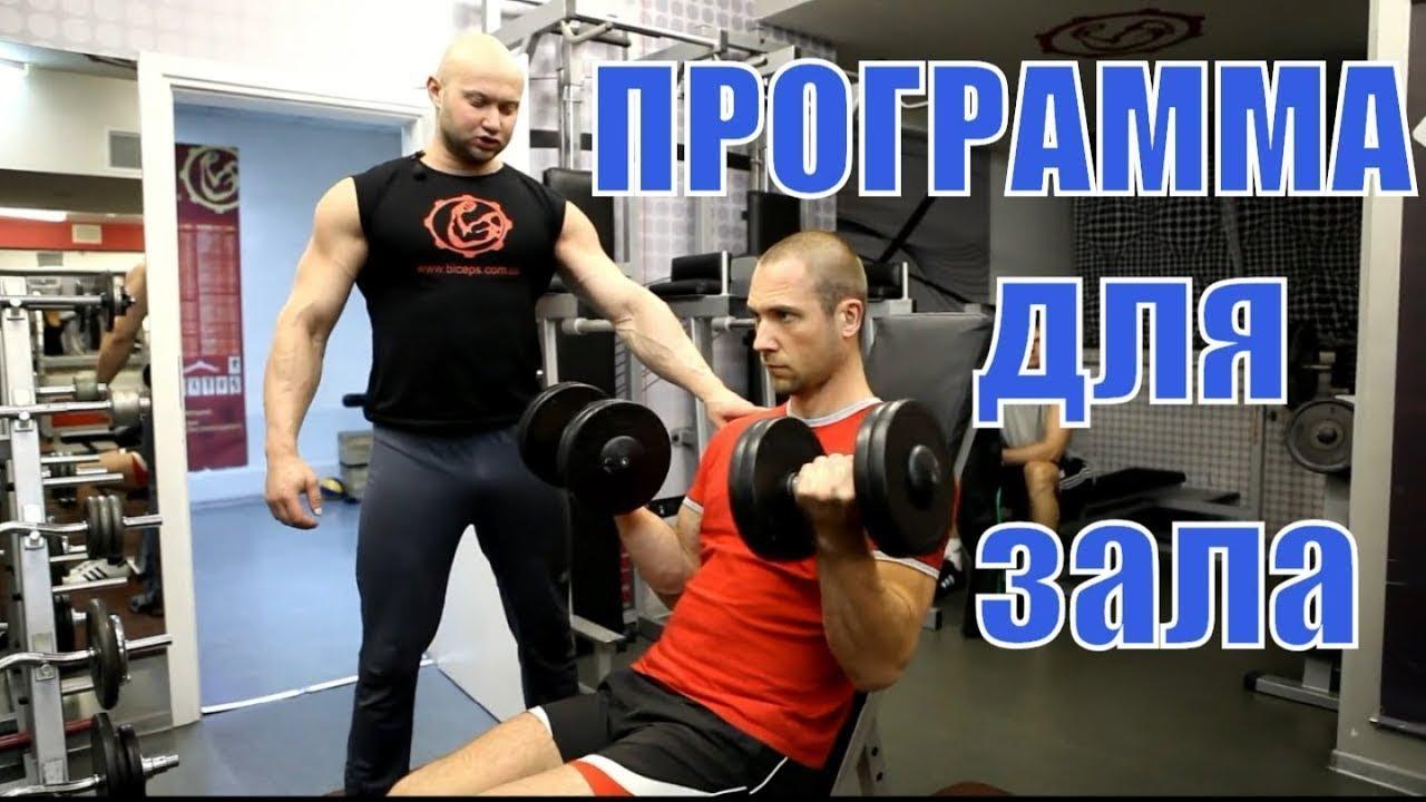 Программа тренировок для тренажерного зала. 3 раза в неделю - сплит смотреть онлайн