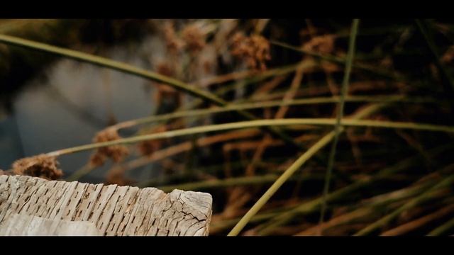 Fujifilm X-T2 Cinematic Video смотреть онлайн