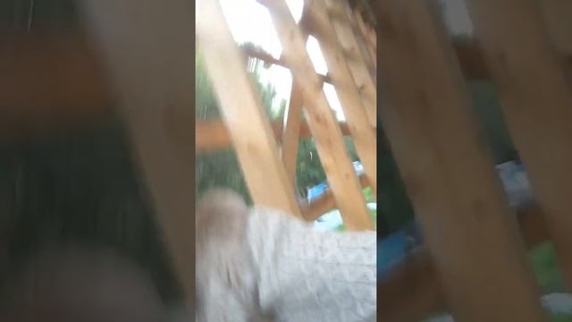 Играем в жмурки на стройке смотреть онлайн