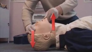 Проведение сердечно лёгочной реанимации двумя спасателями