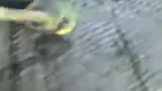Поймали доисторическое животное Щитень смотреть онлайн