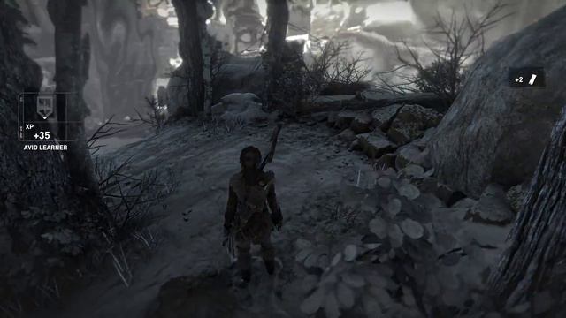 Rise Of The Tomb Raider 3440x1440p DX11 980 Ti SLI Maxed Out SMAA And VXAO