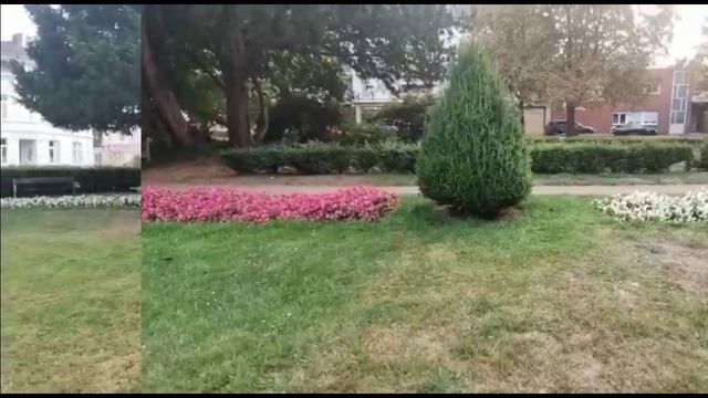 Fishes Park in Viersen Germany #germany #viersen #park #fishes смотреть онлайн