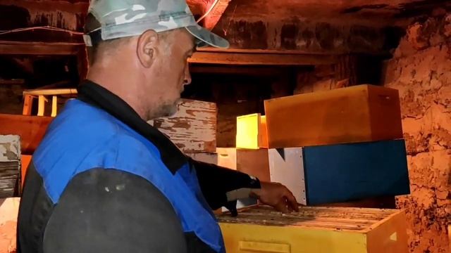 Хранение суши на 100% смотреть онлайн